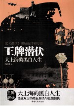 王牌潜伏 大上海的黑白人生