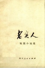 老实人 短篇小说选