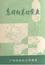 怎样饲养观赏鱼