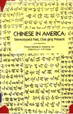 CHINESE IN AMERICA STEREOTYPED PAST