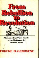 FROM REBELLION TO REVOLUTION AFRO-AMERICAN SLAVE REVOLTS IN THE MAKING OF THE MODERN WORLD
