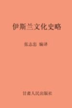 伊斯兰文化史略