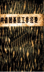 共青团基层工作经验