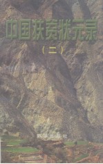 中国扶贫状元录 2