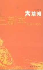 大草滩 王新军短篇小说选