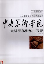 中央美术学院造型基础教学 素描局部训练、石膏