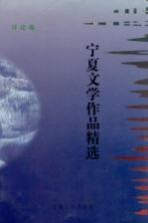 宁夏文学作品精选 评论卷