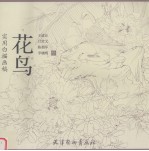 实用白描画稿 花鸟
