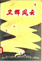 卫辉风云