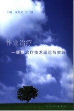 作业治疗 康复治疗技术理论与实践