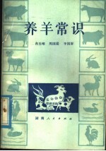 养羊常识