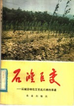 石滩巨变:运城且绿化百里乱石滩的事迹