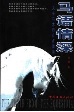 马语情深 关于马术的点点滴滴