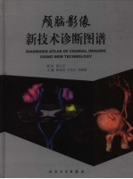 颅脑影像新技术诊断图谱