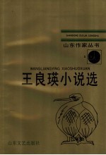 王良瑛小说选