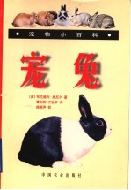 宠兔