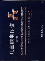 儿童脑电图谱 第2版