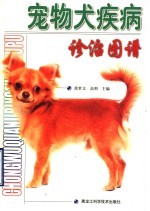 宠物犬疾病诊治图谱