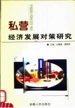 私营经济发展对策研究