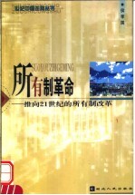 所有制革命 推向21世纪的所有制改革