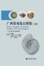 广西常见化石图鉴 上