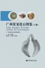 广西常见化石图鉴 下