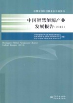 中国智慧能源产业发展报告 2015