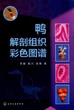 鸭解剖组织彩色图谱