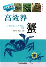 高效养蟹