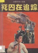死囚在追踪 武警传奇小说集
