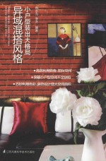小户型装出大格局 异域混搭风格