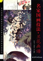 名家国画技法 兰花画谱