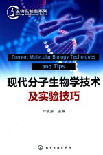 生物实验室系列 现代分子生物学技术与实验技巧