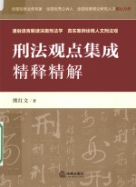 刑法观点集成精释精解