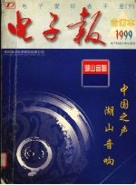 电子爱好者手册 下 1999年电子报合订本