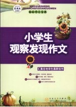 小学生观察发现作文