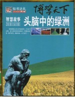 头脑中的绿洲:智慧故事