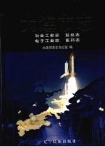大连市志 冶金工业志·电子工业志·盐业志·医药志