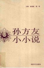 孙方友小小说
