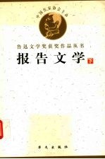 鲁迅文学获奖作品丛书 报告文学 下