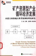 矿产资源型产业循环经济发展
