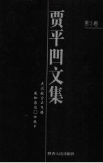 贾平凹文集 第3卷