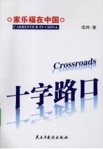 十字路口 家乐福在中国