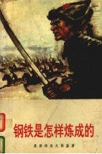 钢铁是怎样炼成的