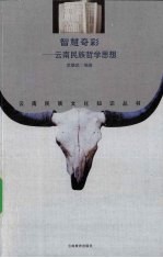 智慧奇彩 云南民族哲学思想