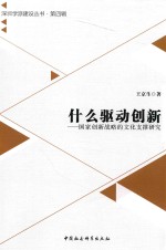 什么驱动创新 国家创新战略的文化支撑研究
