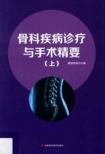 骨科疾病诊疗与手术精要 上
