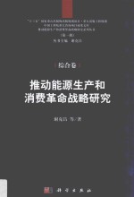 推动能源生产和消费革命战略研究 综合卷