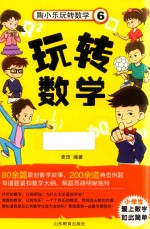 陶小乐玩转数学 6 玩转数学