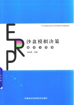 ERP沙盘模拟决策理论与实务